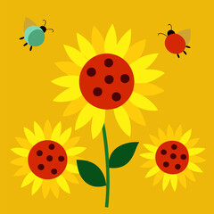 Sunflowers and ladybugs vector on white background.