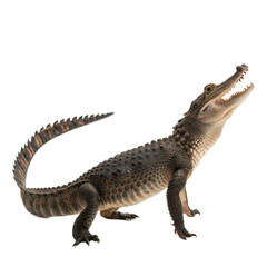 Naklejka premium Chinese Alligator AI Generated Image