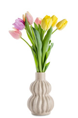 Vase with beautiful tulip flowers on white background
