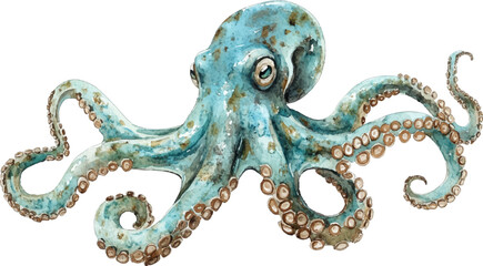 Obraz premium Watercolor octopus, full body view, white background