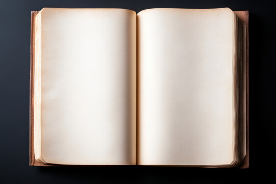 open blank book with empty pages, inviting creativity and ideas. simplicity of design encourages writing, drawing, or journaling