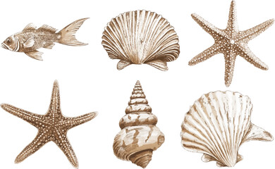 Set of pictures in sepia Vintage watercolor style hand drawn in neutral colors on a white background