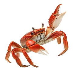 Christmas Island Red Crab AI Generated Image