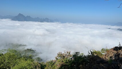 Trees, mountains, forests, nature.