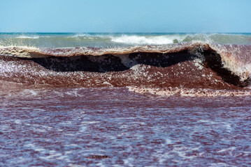 Sea wave full of algae breaks on the shore of the beach