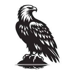 Bald Eagle Bird Silhouette Vector Illustration, Solid White Background.