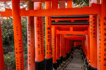 shinto shrine arches in Fushimi Inari in Japan 