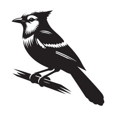 Blue Jay Bird Silhouette Vector Illustration, Solid White Background.