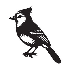 Blue Jay Bird Silhouette Vector Illustration, Solid White Background.