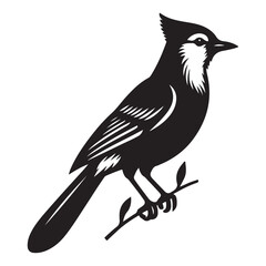 Blue Jay Bird Silhouette Vector Illustration, Solid White Background.