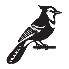 Blue Jay Bird Silhouette Vector Illustration, Solid White Background.
