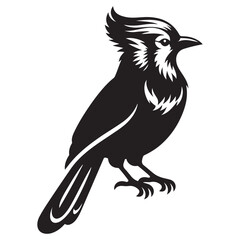 Blue Jay Bird Silhouette Vector Illustration, Solid White Background.