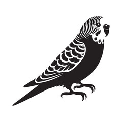 Budgerigar (Budgie) Bird Silhouette Vector Illustration, Solid White Background.