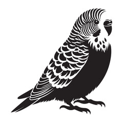 Budgerigar (Budgie) Bird Silhouette Vector Illustration, Solid White Background.