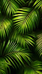 Fototapeta premium Green Palm Leaves Offer a Textured View of Nature