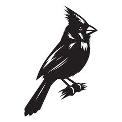 Cardinal Bird Silhouette Vector Illustration, Solid White Background.