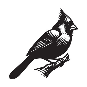 recommend clip art: Cardinal Bird Silhouette Vector Illustration, Solid White Background.