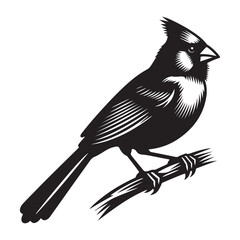 Cardinal Bird Silhouette Vector Illustration, Solid White Background.