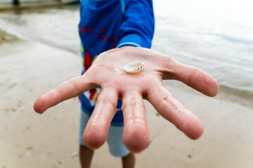 A child is showing a small seashell they found while playing on the beach