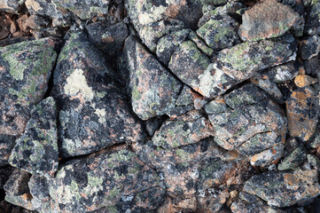 Closeup of cracked stones covered with lichen in tundra. Rybachy Peninsula, Murmansk region, Russia