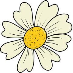 White flowers placed on a white background