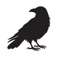 Crow Bird Silhouette Vector Illustration, Solid White Background.