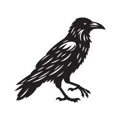 Fototapeta premium Crow Bird Silhouette Vector Illustration, Solid White Background.