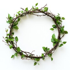 Fototapeta premium Simple nature wreath frame, perfect for a spring/summer design