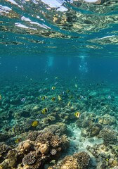 Naklejka premium Fish Swimming Over Coral Reef Underwater Serenity & Depth