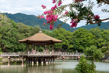 Fototapeta premium 奈良・浮見堂とピンクの花が彩る風景