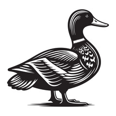 Duck Bird Silhouette Vector Illustration, Solid White Background.