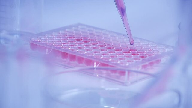 scientist dropping biochemical solution in to microplate for DNA analysis.