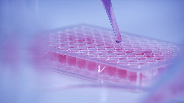 scientist dropping biochemical solution in to microplate for DNA analysis.