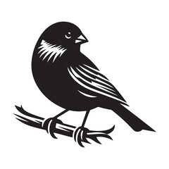 Finch Bird Silhouette Vector Illustration, Solid White Background.