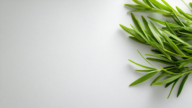  tarragon side dish