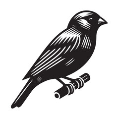 Finch Bird Silhouette Vector Illustration, Solid White Background.