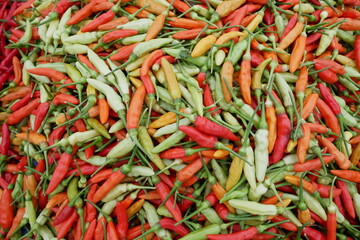 Close-Up of Colorful Assorted Chili Peppers Showcasing Variety in Fresh Produce
