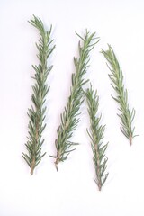 rosemary isolated on white background
