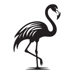 Fototapeta premium Flamingo Bird Silhouette Vector Illustration, Solid White Background.