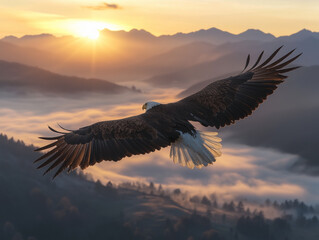 Fototapeta premium A Majestic Bald Eagle Soaring Over a Foggy Mountain Valley at Sunrise