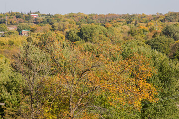 tree covered hills at hole in the mountain park by lake benton, minnesota