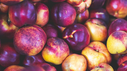 Nectarines fresh fruit being processed sorted in a packhouse horticulture in central otago new zealand fresh red juicy ripe 