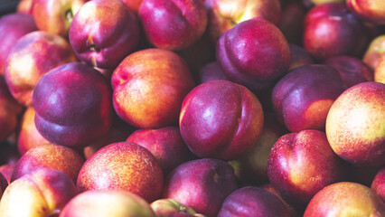 Nectarines fresh fruit being processed sorted in a packhouse horticulture in central otago new zealand fresh red juicy ripe 