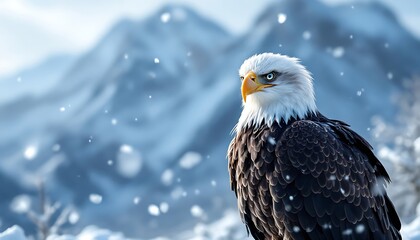 Obraz premium Majestic Bald Eagle in Winter Wonderland