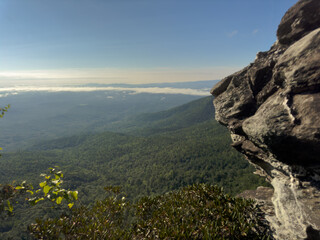 Peaceful Forest Scene in Linville Gorge, Pisgah National Forest