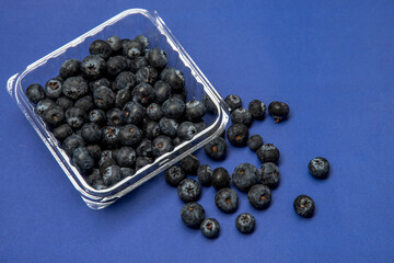 Fresh blueberries on a blue surface, several berries are scattered around. Blueberries have a dark blue color and a slightly rough texture.  A clear plastic container filled with blueberries.