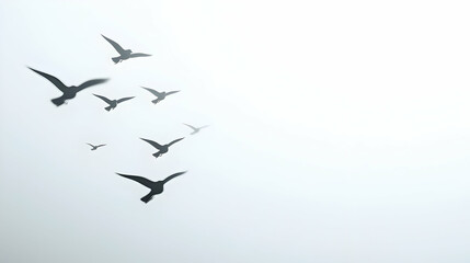 Fototapeta premium Flock of Birds in Flight, showcasing avian movement, hinting at the impact of H5N1 avian virus on wildlife dynamics.