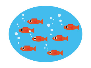 Naklejka premium 赤い小魚