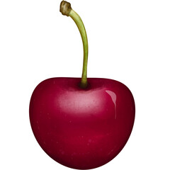 Watercolor sweet cherry fruit,cherry fruit