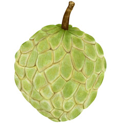 Custard apple sweet fruit,custard apple
